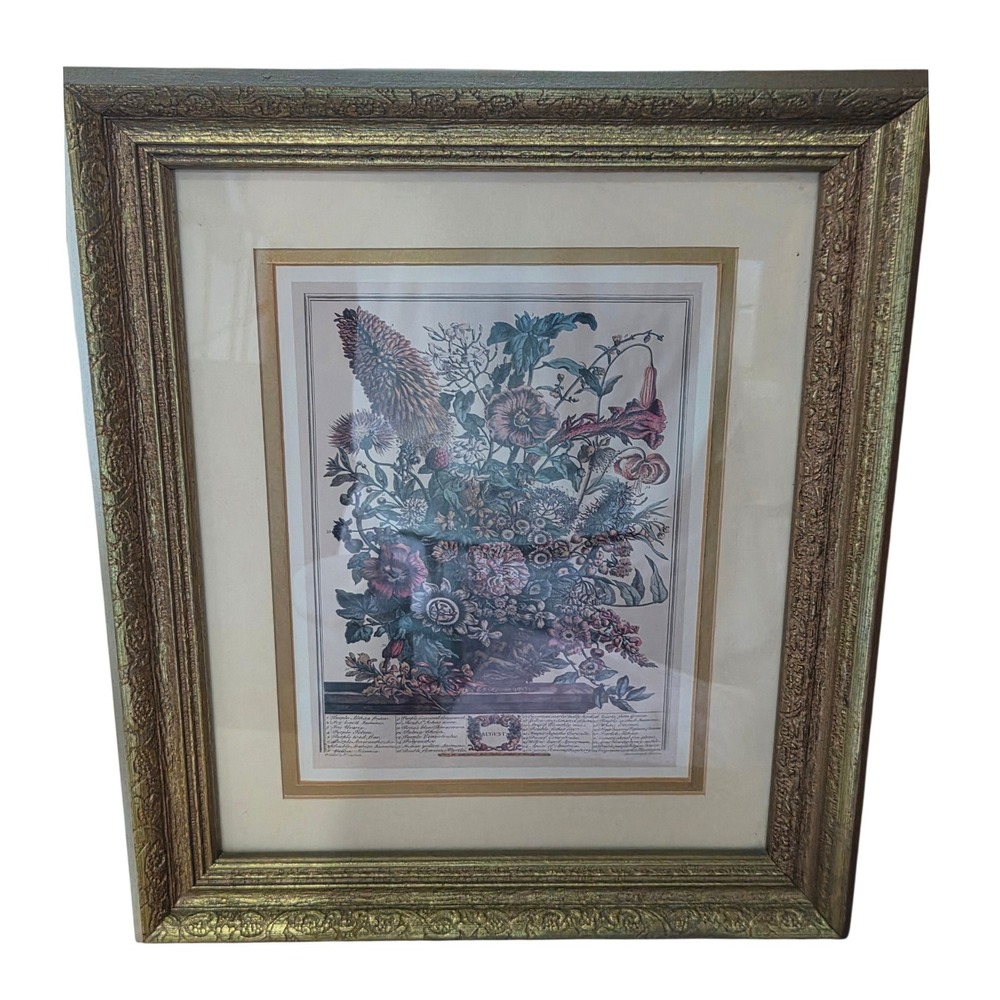 Vintage Robert Furber August Twelve Months Flowers Botanical Print Matted Frame
